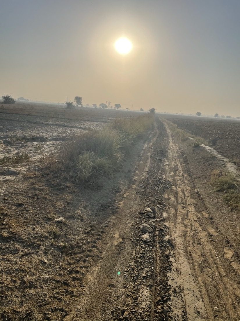 A ploughed field at Hudithal under low winter sun, ready for sowing