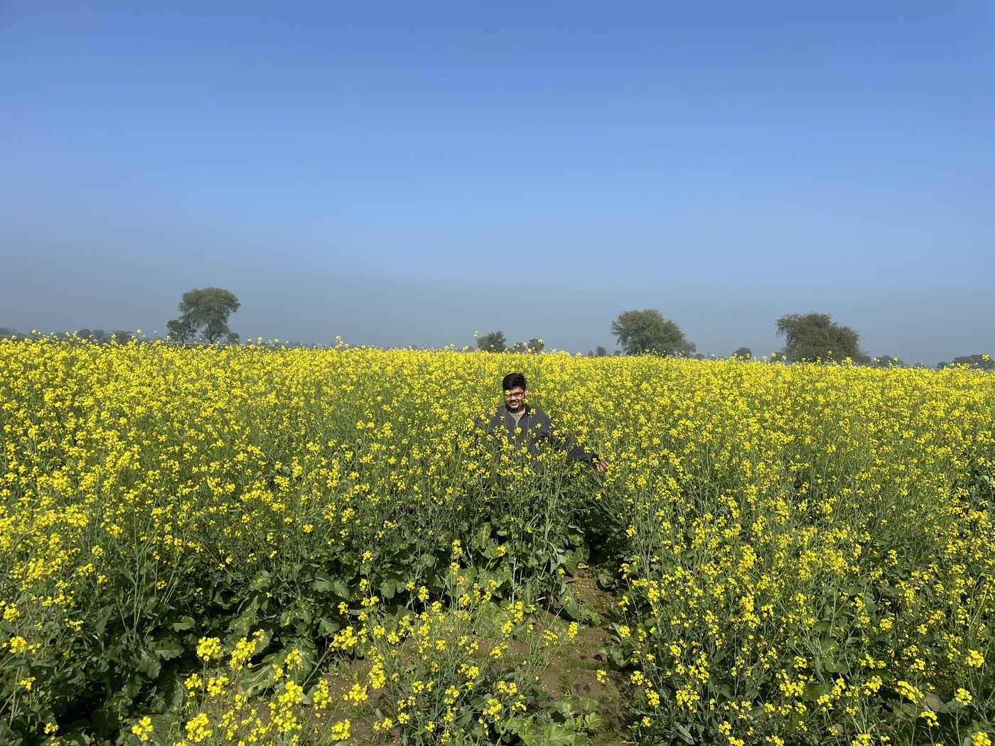 Ajay Kanwar standing in the mustard field at Hudithal